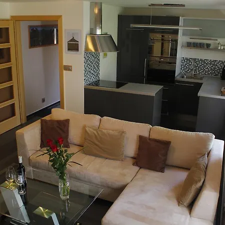 Apartment Dejvice Prague